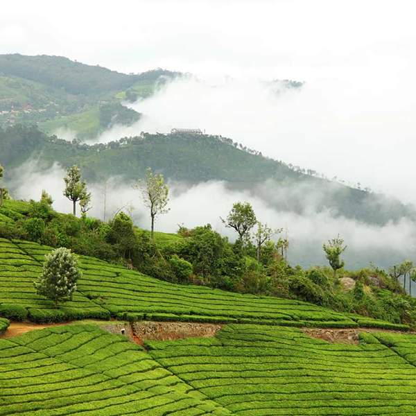 Coonoor